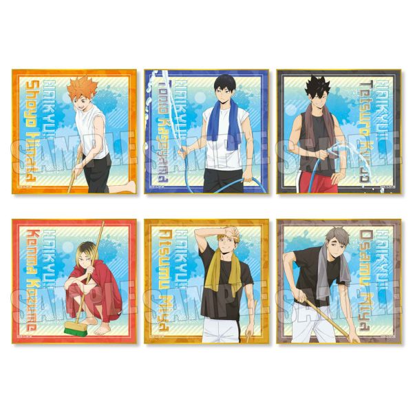 Haikyuu!! Pool Cleaning Version Shikishi Shoyo Hinata Verkauf – Bild 2
