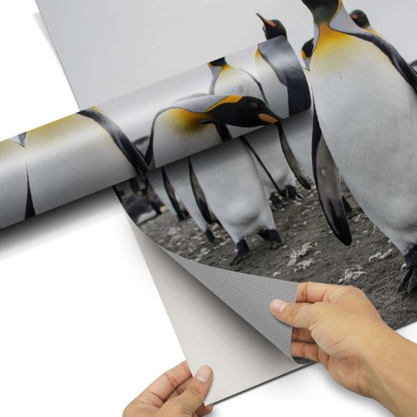 Klebefolie für Möbel IKEA Expedit Regal 2 Türen (hoch) - Design: Penguin Family Schn?ppchen – Bild 5