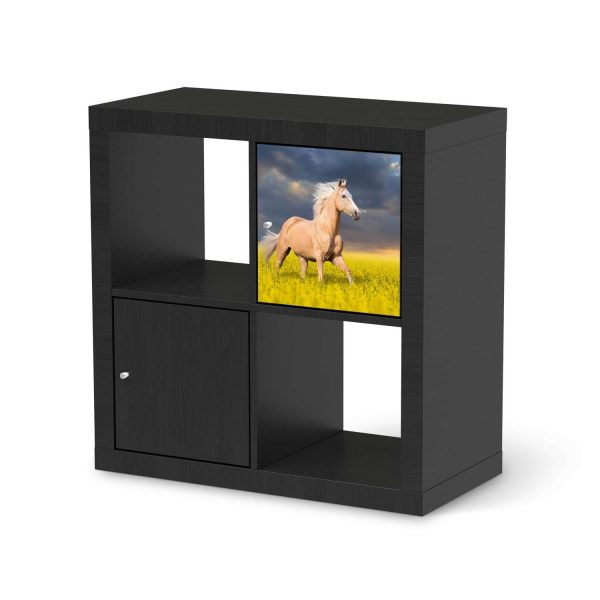 Klebefolie IKEA Expedit Regal Tür einzeln - Design: Wildpferd Zu verkaufen – Bild 2