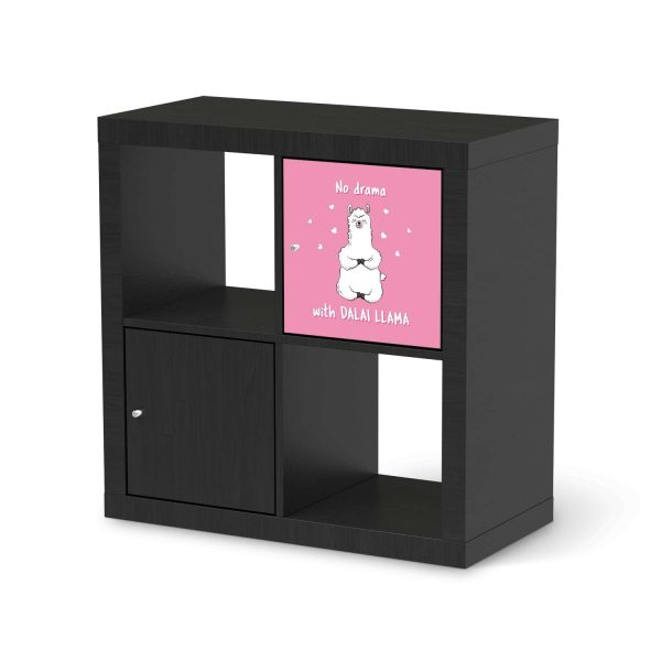 Klebefolie IKEA Expedit Regal Tür einzeln - Design: Dalai Llama Rabatt – Bild 2